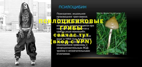 apvp Алексеевка