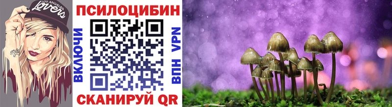 кракен рабочий сайт  Холм  Псилоцибиновые грибы MAGIC MUSHROOMS 
